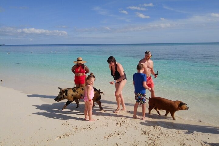 Swim with Pigs and Skis Tour Experience
