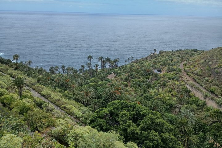 Tenerife Wild Natural Cliffs and Pools
