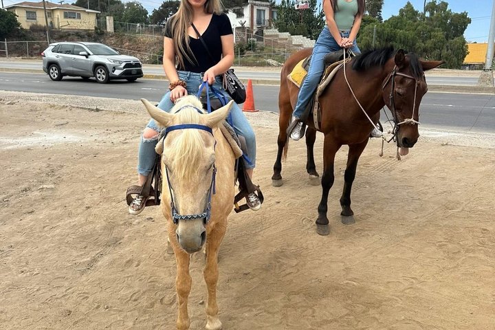 Rosarito/Paintball/Mountain Horses + Transportation
