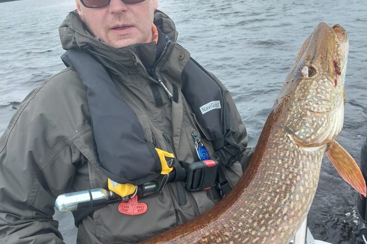 Fishing in Lapland, Rovaniemi, Massive Northern Pike