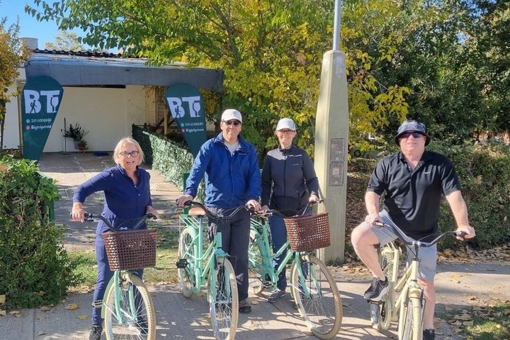 Bike Tour with Winery and Olivicola Tastings