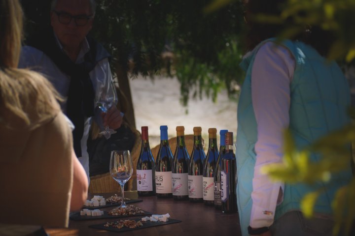 Alcohuaz Signature Wine Tasting