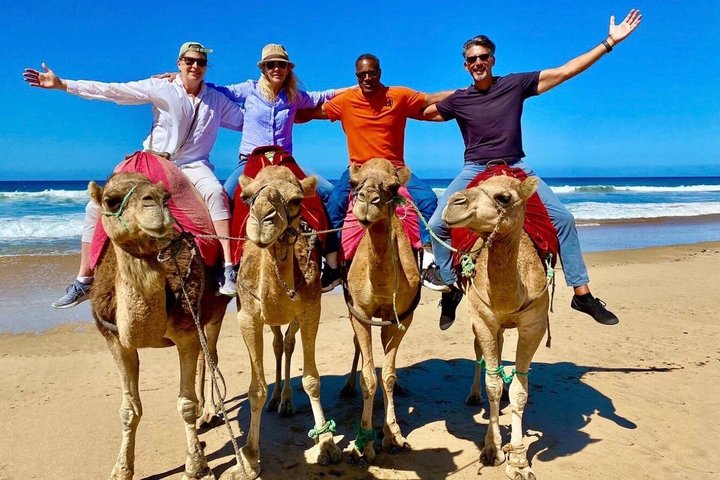 Luxury 4-Hour Private tangier Experience & Camel Ride