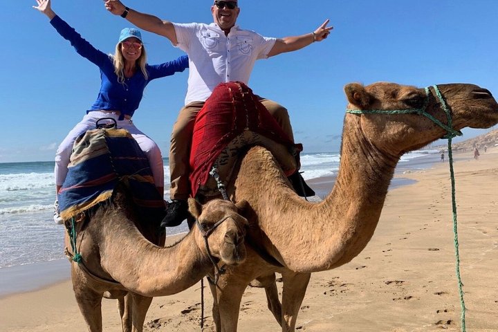 Luxury 4-Hour Private tangier Experience & Camel Ride