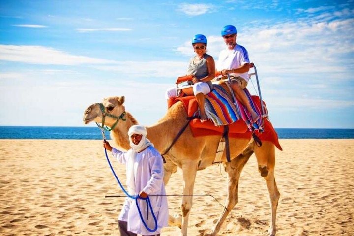 Luxury 4-Hour Private tangier Experience & Camel Ride