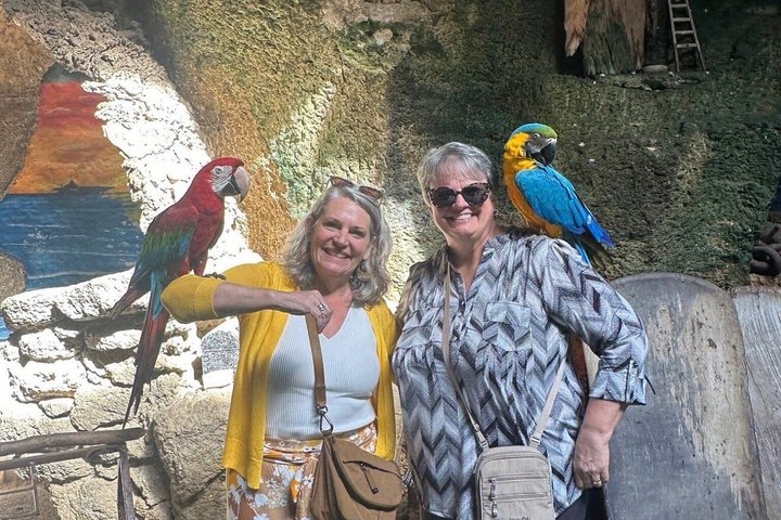 Luxury 4-Hour Private tangier Experience & Camel Ride