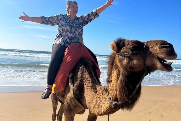 Luxury 4-Hour Private tangier Experience & Camel Ride