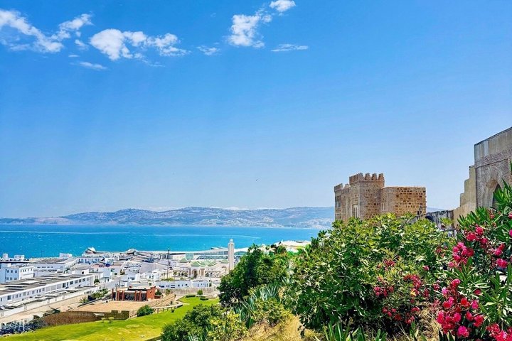 Luxury 4-Hour Private tangier Experience & Camel Ride