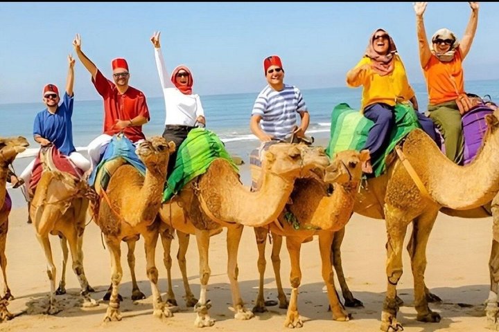 Luxury 4-Hour Private tangier Experience & Camel Ride