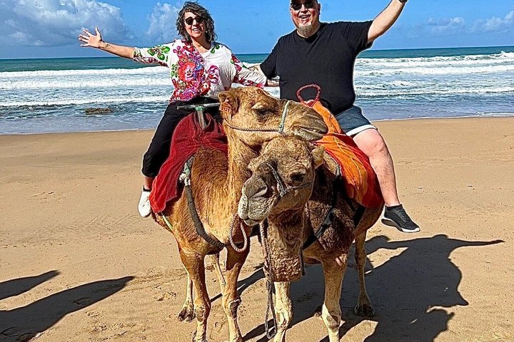 Luxury 4-Hour Private tangier Experience & Camel Ride