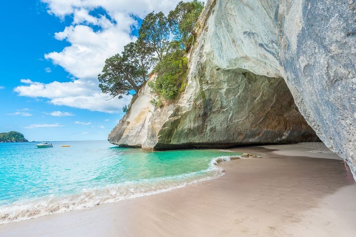 Cathedral Cove 2 Hour Scenic Coastal Helicopter Tour Tauranga