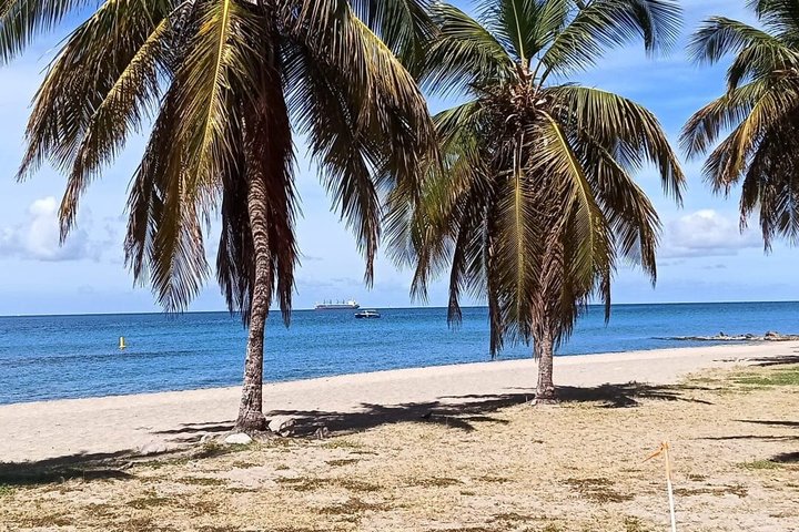 St. Kitts Scenic Island Tour with Beach Option