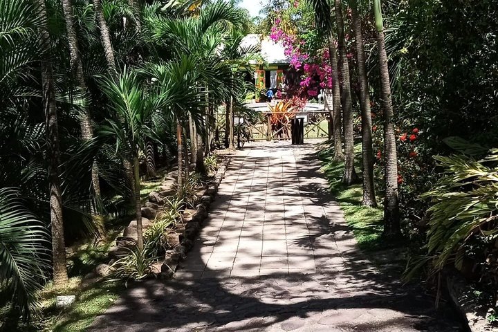 St. Kitts Scenic Island Tour with Beach Option