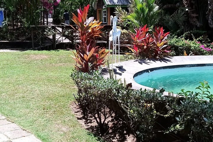 St. Kitts Scenic Island Tour with Beach Option