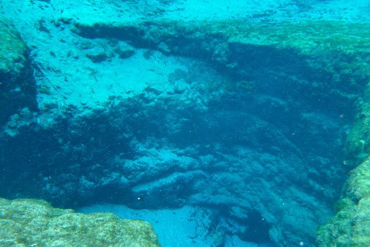 Ginnie Springs Glass Bottom Kayak Eco Tour