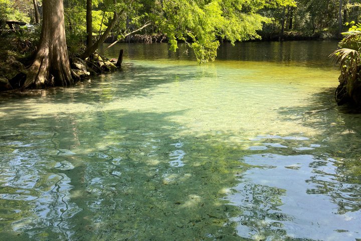 Ginnie Springs Glass Bottom Kayak Eco Tour