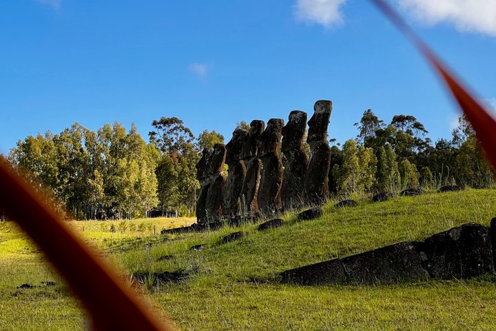 Rapa Nui Tour for Cruise Passengers