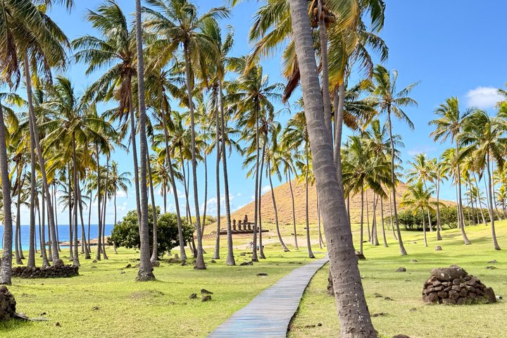 Rapa Nui Tour for Cruise Passengers