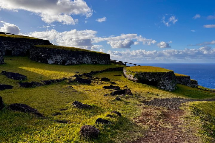 Rapa Nui Tour for Cruise Passengers