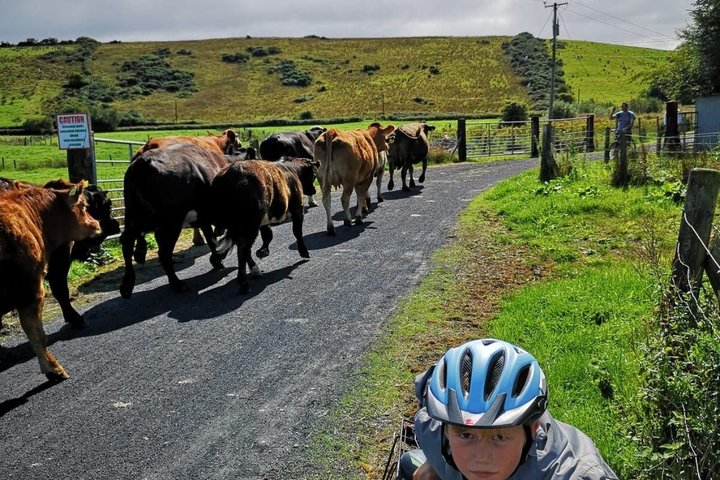 E-Bike Cycle Greenway - Westport To Achill Island Atlantic coast