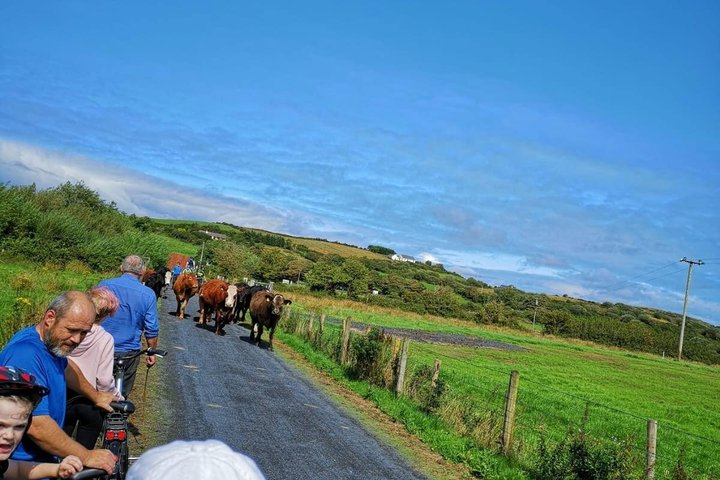 E-Bike Cycle Greenway - Westport To Achill Island Atlantic coast