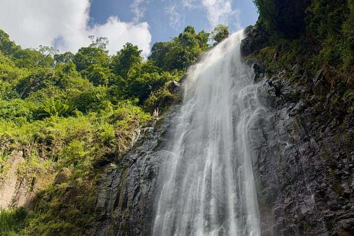 Moshi: Materuni Waterfalls Hike, Traditional Lunch & Coffee Farm