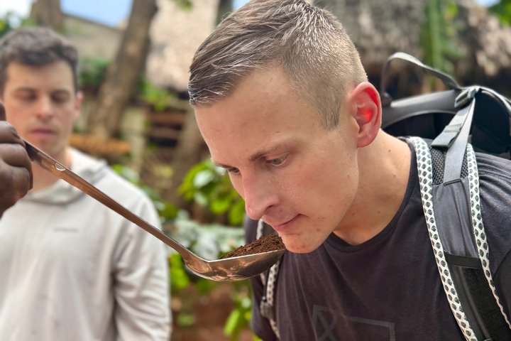 Moshi: Materuni Waterfalls Hike, Traditional Lunch & Coffee Farm