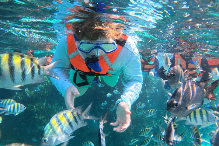 Isla Mujeres : Snorkeling in 3 spots MUSA, Manchones and Farito!