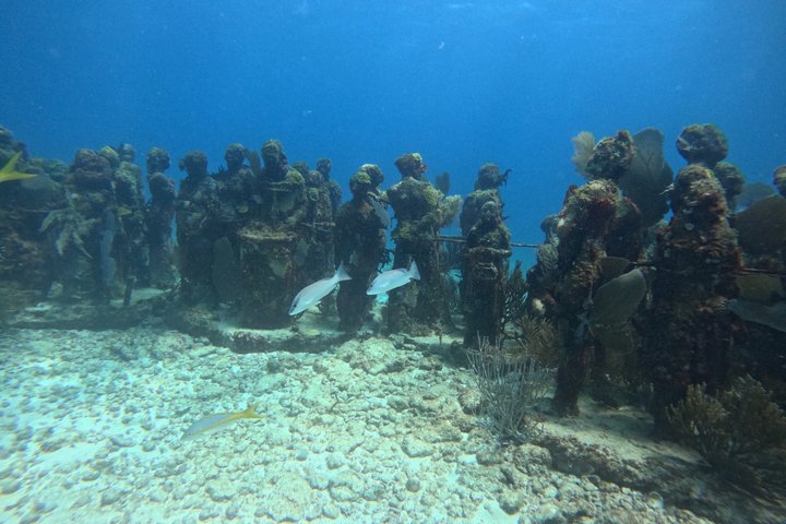 Isla Mujeres : Snorkeling in 3 spots MUSA, Manchones and Farito!