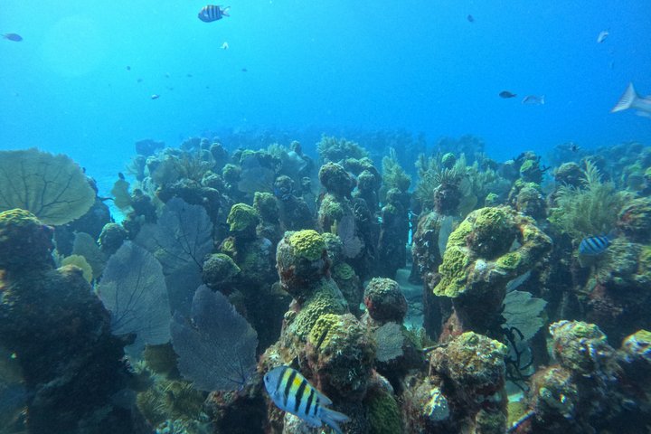 Isla Mujeres : Snorkeling in 3 spots MUSA, Manchones and Farito!