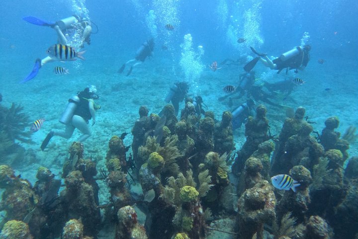 Isla Mujeres : Snorkeling in 3 spots MUSA, Manchones and Farito!