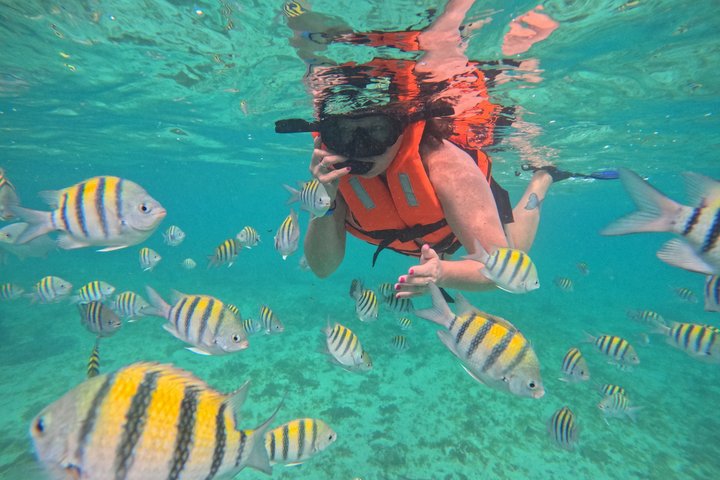 Isla Mujeres : Snorkeling in 3 spots MUSA, Manchones and Farito!