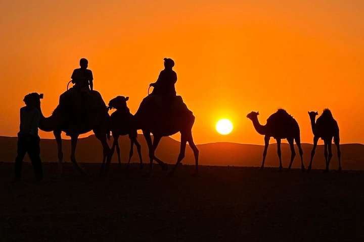 Agafay Desert Dinner, Camel Ride, Fire Show & Traditional Music