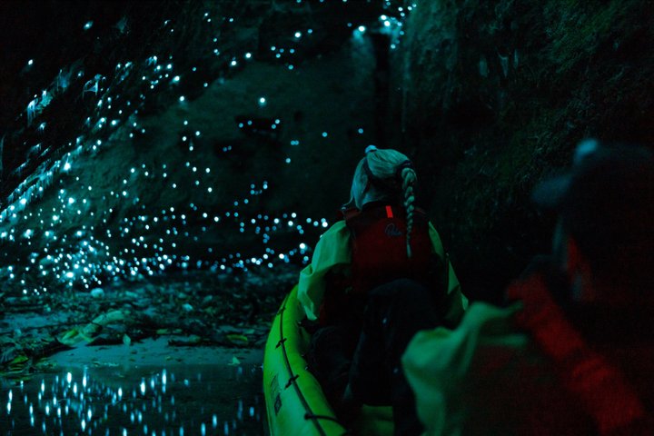 Glow Worm Kayak Tour