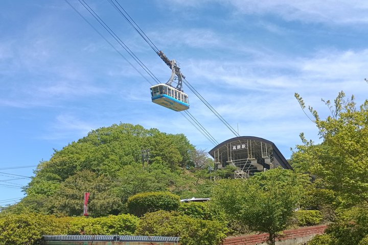 Beppu Nature and Hot Spring Nordic Walking Tour with Local Lunch
