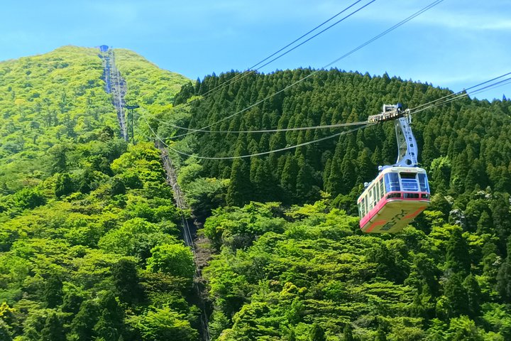 Beppu Nature and Hot Spring Nordic Walking Tour with Local Lunch