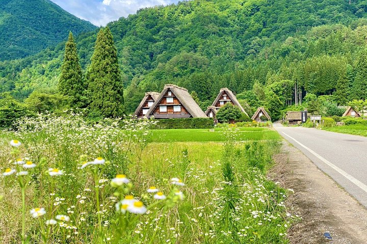 Shirakawago & Takayama Bus Tour from Nagoya w/Optional Lunch