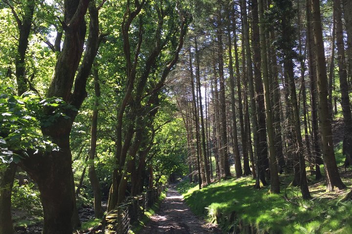 Private Garden and Glens Tour of The Isle of Man