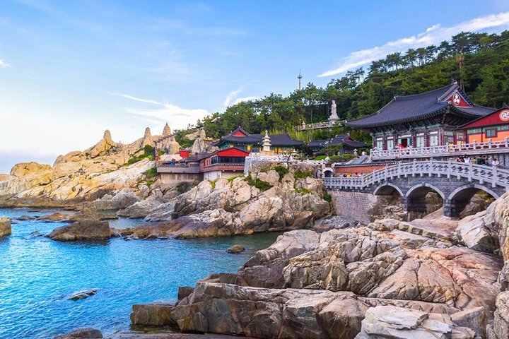 Authentic Busan Full-Day City Highlights Tour