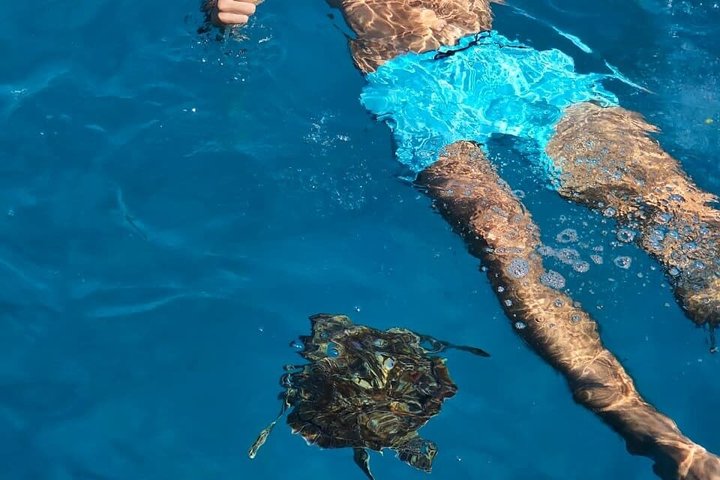 From Limassol: Agia Napa Blue Lagoon & Turtle Bay Boat Trip