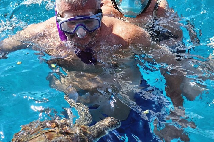 From Limassol: Agia Napa Blue Lagoon & Turtle Bay Boat Trip