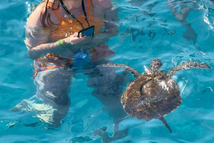 From Limassol: Agia Napa Blue Lagoon & Turtle Bay Boat Trip