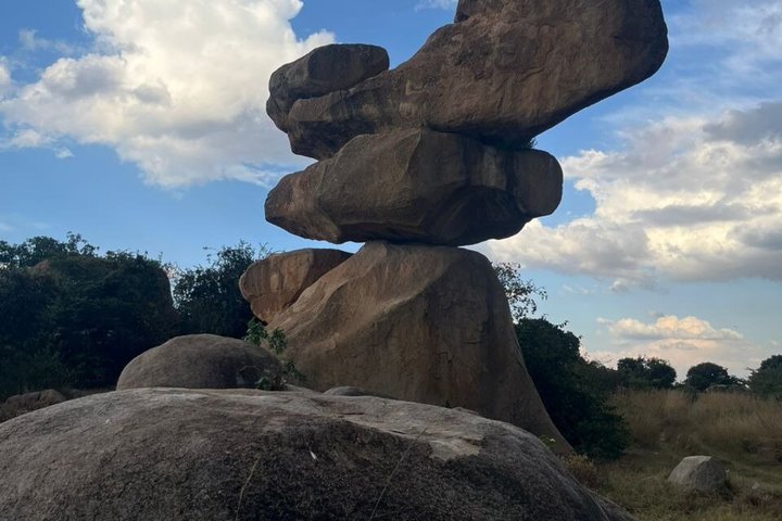 Private Harare City Tour: Wildlife, Art & Iconic Landmarks