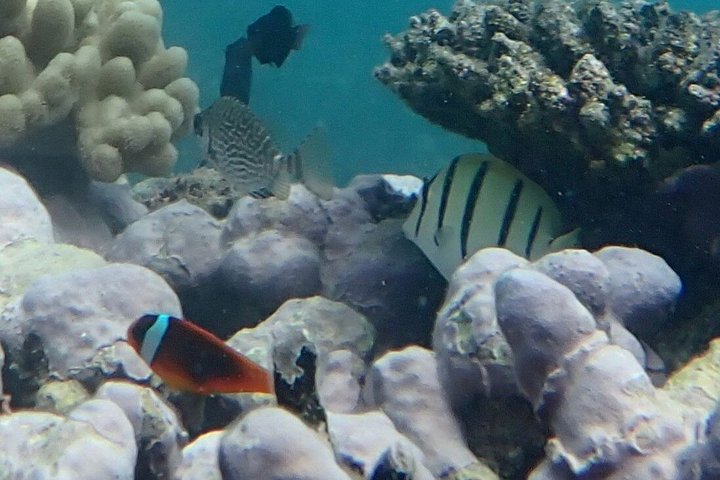 Full Island Cultural and History Tour