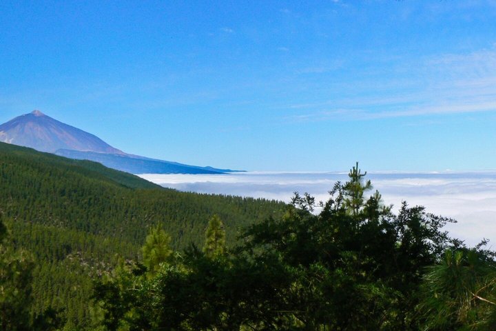 Tenerife UNESCO Worlds Tour of Teide La Laguna