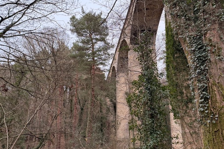 Small Group Pontcysyllte Aqueduct Canoe Trip