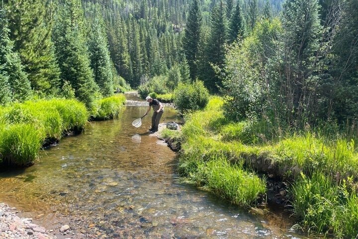 4 Hour Guided Fly Fishing Trip in Rocky Mountain National Park