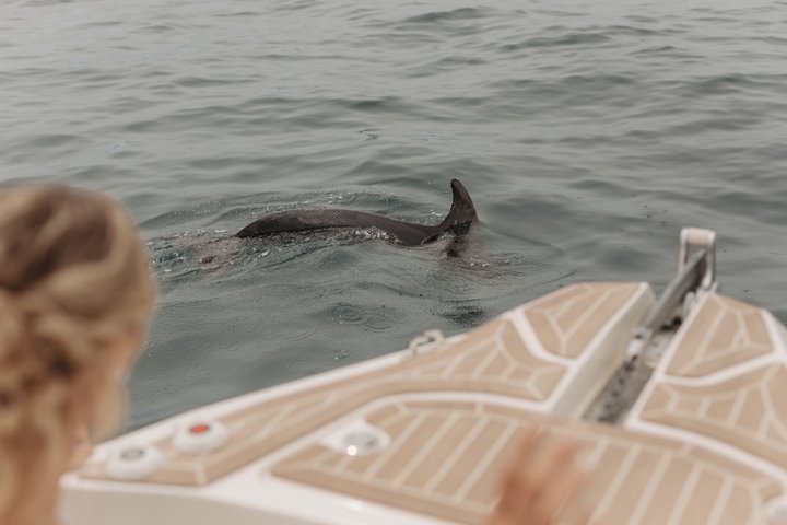 Boat Tour at Devil's Saddle: 4 Swim Stops, Snorkeling & Prosecco