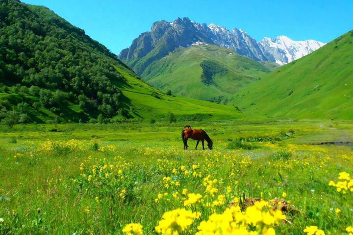 Private Day Tour from Kutaisi to Svaneti Zagar Pass and Ushguli