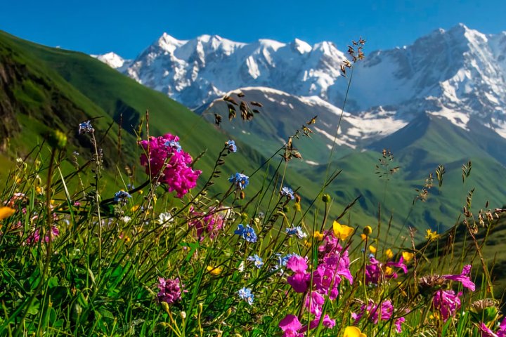 Private Day Tour from Kutaisi to Svaneti Zagar Pass and Ushguli